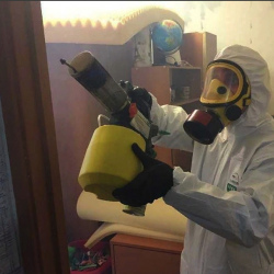 Уничтожение клопов в квартире. Сатка